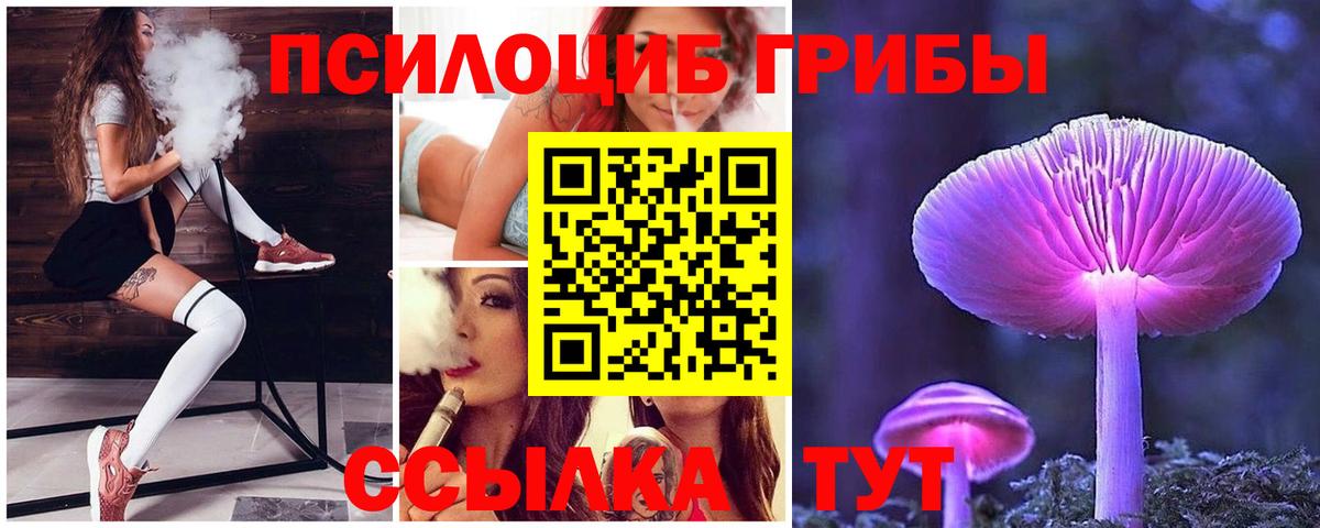Псилоцибиновые грибы мицелий  Псилоцибиновые грибы GOLDEN TEACHER  Орск  наркошоп  Вход с VPN 